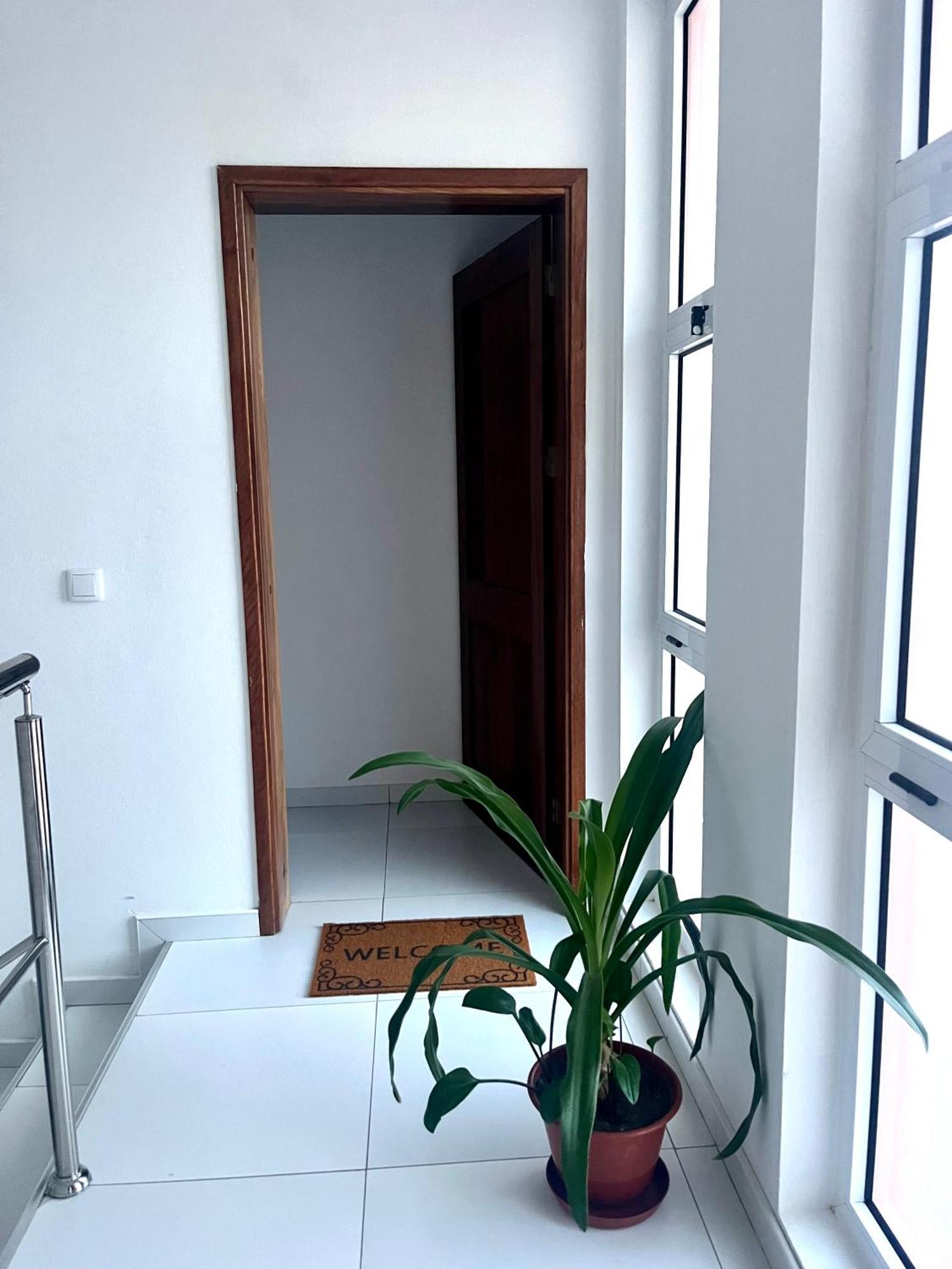 Oasis De Retour Apartment Ponta Do Sol Exterior photo